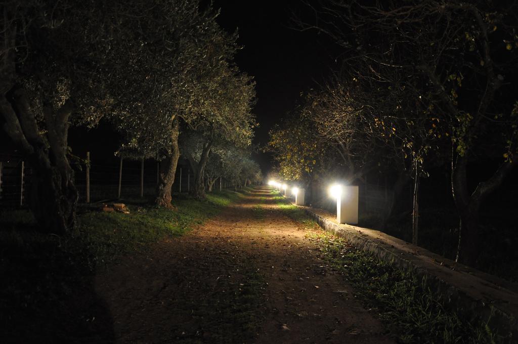Quinta Da Sardinha Villa Elvas Bagian luar foto